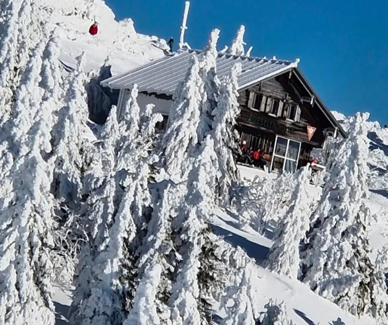 Pension Leithenwald Zwiesel Gasthof