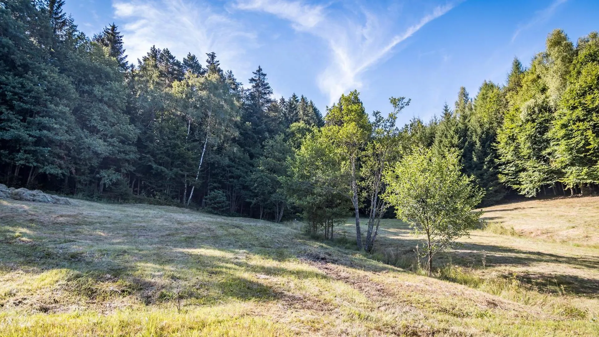Gasthuis Pension Leithenwald Zwiesel Duitsland